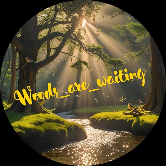 woodsarewaiting